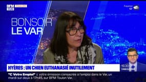 Chien euthanasié à Hyères: les associations dénoncent des faits d'une "extrême violence"