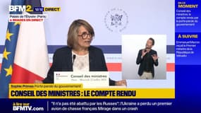 Loi Duplomb: Emmanuel Macron appelle à "respecter le temps institutionnel"