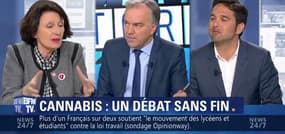 Dépénalisation du cannabis: la gauche conteste les propos de Jean-Marie Le Guen