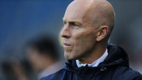 Bob Bradley