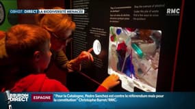 Au Muséum d'Histoire Naturelle de Paris, une exposition sensibilise sur la biodiversité menacée