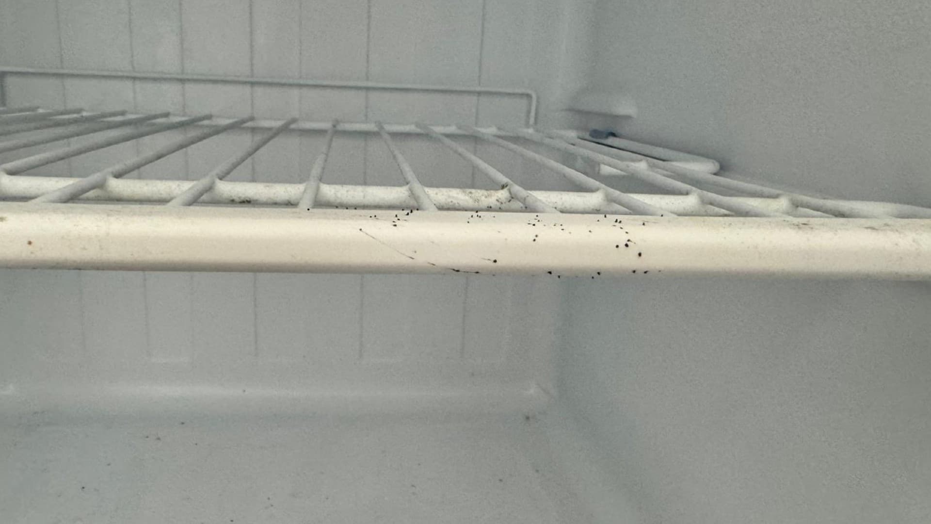 Le frigo dans le Airbnb loué par Camille Le frigo dans le Airbnb loué par Camille