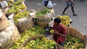 Un vendeur de fruits indien trie des bananes sur un marché de Calcutta, le 11 novembre 2009