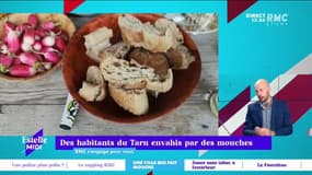 RMC s’engage pour vous : Des habitants de Tarn envahis par les mouches - 03/11