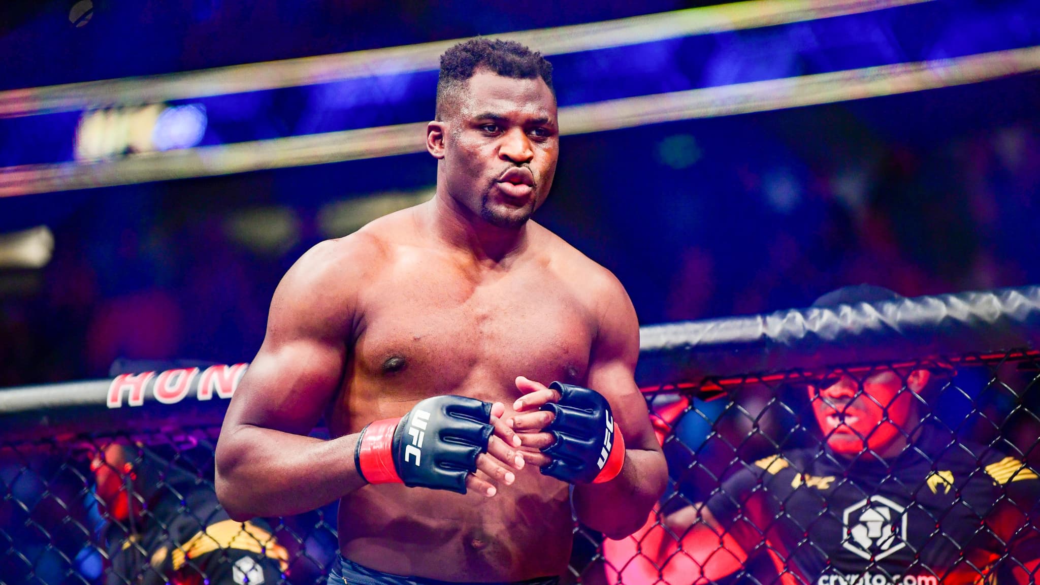 Джошуа нгану прогноз. Francis Ngannou. Фрэнсис Нганну 2013. Франсис Нганну Кертис блейд. Деонтей Уайлдер Нганну.