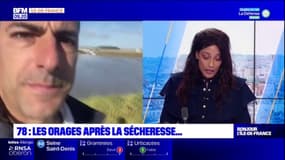 Yvelines: les agriculteurs demandent l'aide de l'Etat après les intempéries