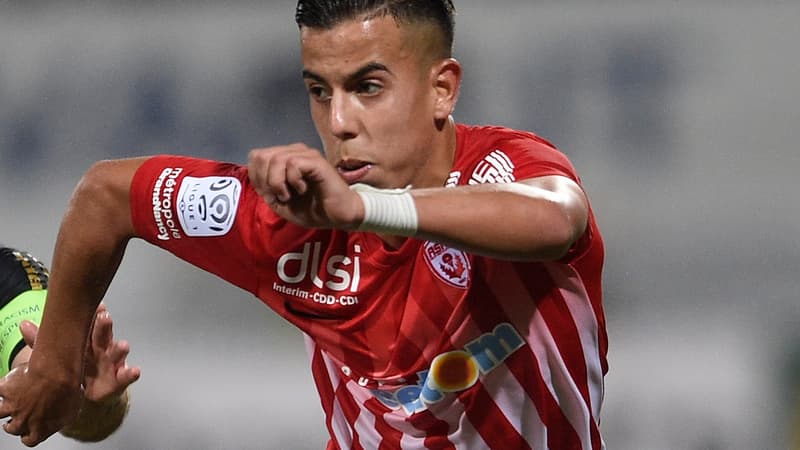Amine Bassi
