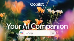 Copilot Microsoft.