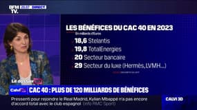 Bénéfices record du CAC40: "Pendant que les dividendes s'envolent, les salaires diminuent et il y a des suppressions d'emplois depuis cinq ans", affirme Aurélie Trouvé (LFI)