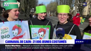 Carnaval de Caen: 31.000 jeunes costumés