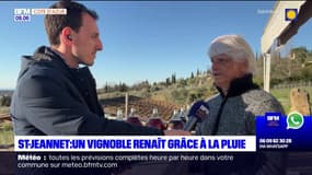 Saint-Jeannet: un vignoble renaît grâce aux fortes pluies des dernières semaines