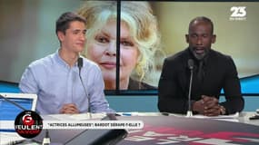 #BalanceTonPorc : "Pitié, que Brigitte Bardot se taise !"
