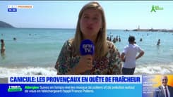 JT du Sud du samedi 21 juin