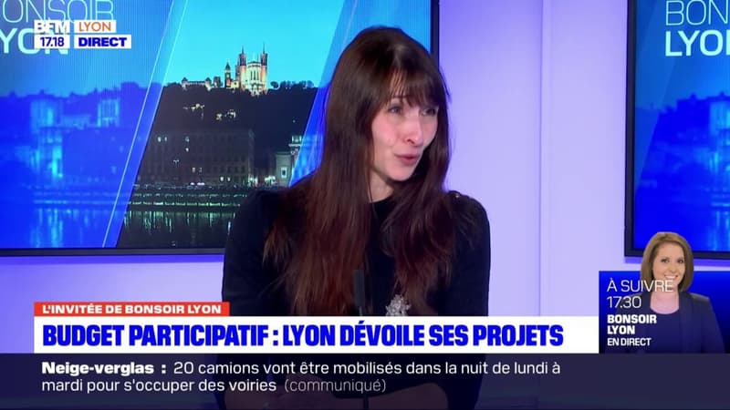 Lyon les projets lauréats du budget participatif