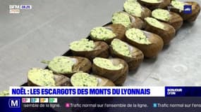 Noël made in Lyon: les escargots des Monts du Lyonnais