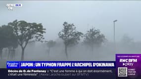 Typhon Khanun: des rafales de vent enregistrées à plus de 234 km/h