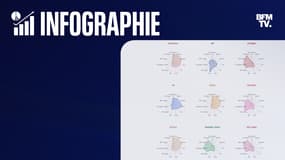 Scrutins publics/ 25 juillet