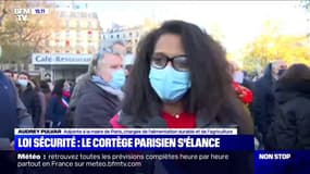 Loi sécurité globale: "Depuis que Didier Lallement a été nommé préfet de police, la capacité de manifester pacifiquement dans Paris s'est réduite" (Audrey Pulvar)