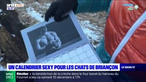 Briançon : un calendrier sexy pour venir en aide aux chats errants