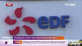 Énergie : pourquoi l'État veut renationaliser EDF ?