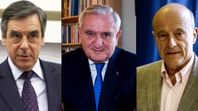 Le trio formé par François Fillon, Jean-Pierre Raffarin et Alain Juppé pour diriger l'UMP est remis en cause.