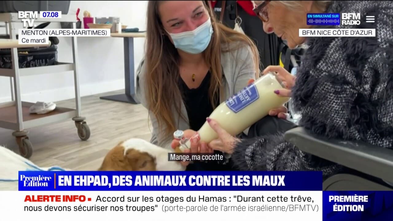 Alpes-maritimes: dans cet ehpad, des animaux de la ferme rendent visite aux résidents