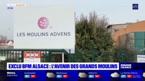 Alsace: un projet immobilier envisagé sur le site des Grands moulins de Strasbourg