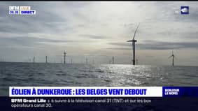 Dunkerque: des élus belges opposés au projet éolien