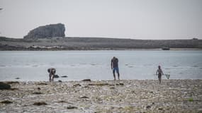 Des pêcheurs de coquillages en Bretagne en juillet 2024.