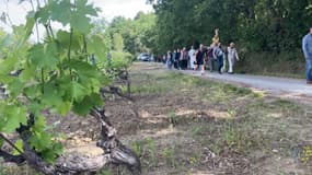 Le buste de Saint Patrick porté à Pierrevert pour la Pentecôte. 