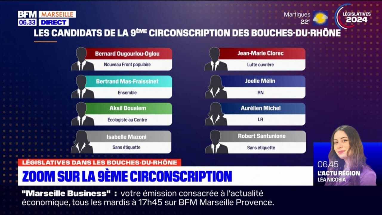 Législatives ce que proposent les candidats de la 9e circonscription