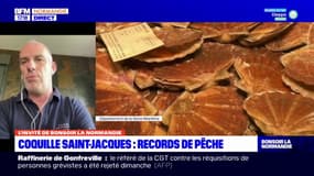 Normandie: la pêche à la coquille Saint-Jacques a atteint des records en 2023