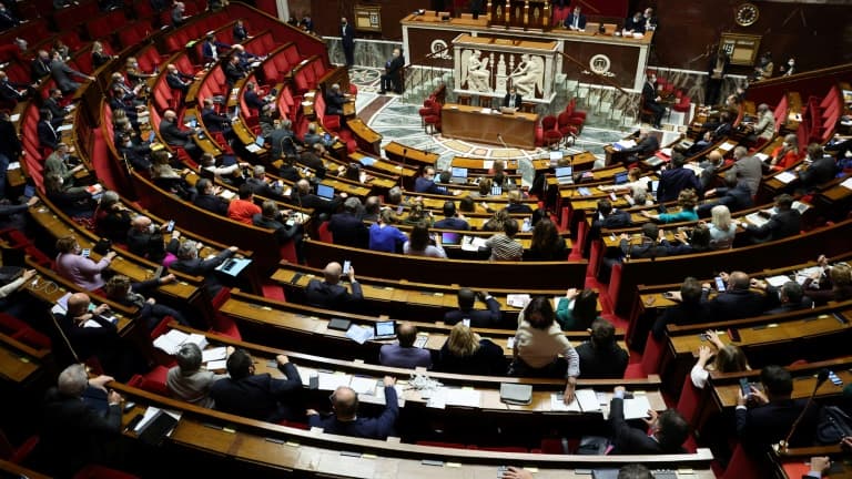 Image d'illustration - L'Assemblée nationale le 16 janvier 2022 