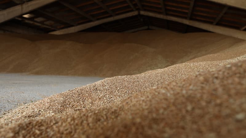 Du blé ukrainien stocké à Izmail, dans la région d'Odessa, le 14 juillet 2022