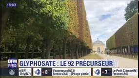 Plus aucun pesticide ou désherbant dans les parcs des Hauts-de-Seine où la nature reprend ses droits