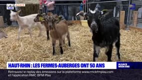 Haut-Rhin: les fermes-auberges ont 50 ans