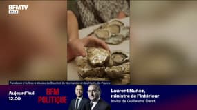 Jusqu'au 7 décembre, des petits lingots d'or cachés dans des huîtres normandes
