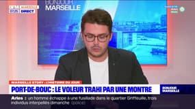 Port-de-Bouc: des cambrioleurs retrouvés grâce à une montre connectée