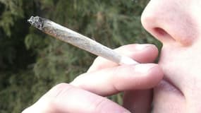 Le cannabis, largement consommé en France, fait partie des drogues dépistées lors des contrôle salivaire.