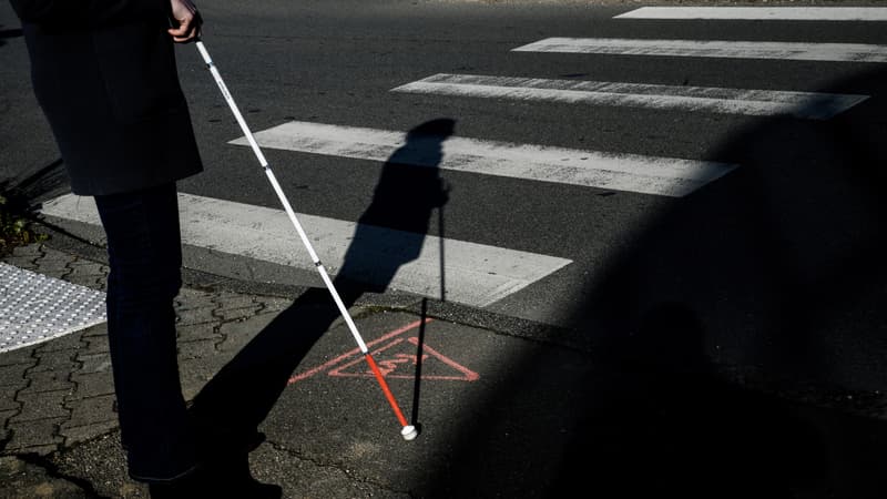 L'agresseur d'un homme aveugle et de son accompagnateur sera jugé en juillet.