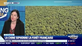 La Chine siphonne la forêt française