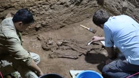 La plus ancienne preuve d'une amputation chirurgicale a été découverte sur un squelette dans une grotte en Indonésie