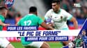 Mondial rugby : "Le pic de forme", pourquoi les quarts promettent d'être exaltants
