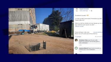 Le post Facebook de l'association Dignité Animale.
