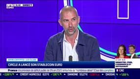 Circle / stablecoin euro : quel potentiel pour l’euro ?