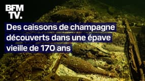Des caissons de champagne découverts sur une épave vieille de 170 ans 