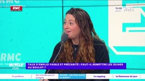 Emploi des jeunes : "Il faut donner envie aux jeunes d'aller au boulot", défend Elise Goldfarb