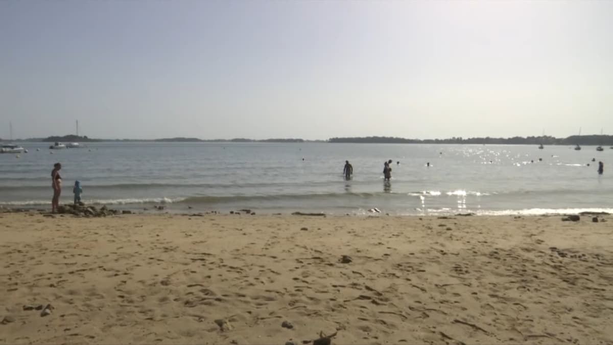placeholder video