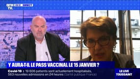 Suspension de l'examen du pass vaccinal: échange tendu entre le député LaREM Bruno Bonnell et la vice-présidente LR de l'Assemblée