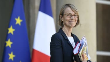 Françoise Nyssen